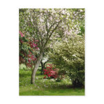 Springtime