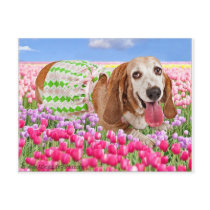 Springtime Post Cards