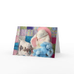 Springtime Reflection cards