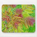 Springtime Smooth Sumac Foliage Mousepad