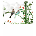 Springtime Sparrows t-shirts