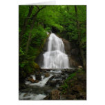 Springtime Waterfall Greeting Card