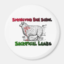 Springwood Lambs Magnet