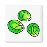 Sprouts magnets