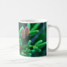 Spruce Fir Brances - Great Smoky Mountains Coffee Mugs