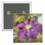 Square Button Passionate Purple Flower