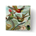 Square Hummingbird Button