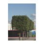 Square Trees Post Card
