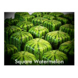 Square Watermelon Post Cards