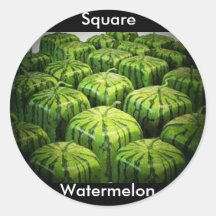 Square Watermelon Sticker
