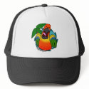 Squawking Sun Conure hats