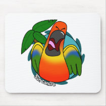 Squawking Sun Conure