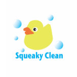 Squeaky Clean t-shirts