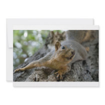 squirel invitation