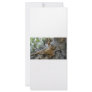 squirel rack card