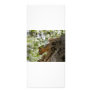squirel staring rack card