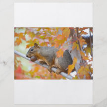 squirel with nut flyer