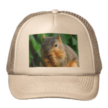 Squirrel 1 mesh hat