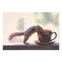 Squirrel and Coffee Cup