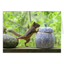 Squirrel and Cookie Jar