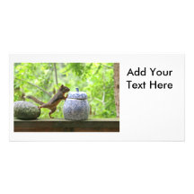 Squirrel and Cookie Jar Photo Card