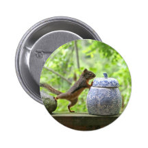 Squirrel and Cookie Jar Pinback Button