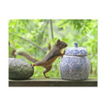 Squirrel and Cookie Jar