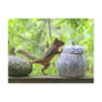 Squirrel and Cookie Jar