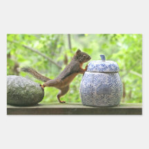 Squirrel and Cookie Jar Rectangle Sticker