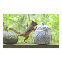 Squirrel and Cookie Jar