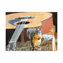 Squirrel and Guitar Canvas Prints