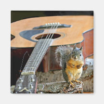 Squirrel and Guitar Fridge Magnets