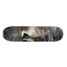Squirrel Animal Skate Board