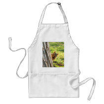 Squirrel apron
