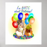 Squirrel Birthday posters