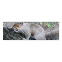 Squirrel Bookmark Business Card Template