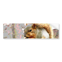 Squirrel Bumper Sticker