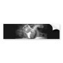 Squirrel Bumper Stickers