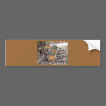 squirrel bumper stickers
