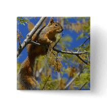 Squirrel button