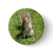 Squirrel Button