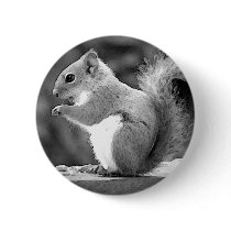 Squirrel Pinback Button