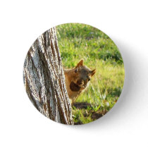 Squirrel button