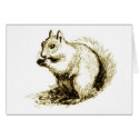 Squirrel cards