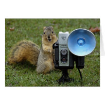 squirrel card large 100