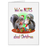 Squirrel Christmas Nuts Cards