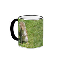 Squirrel Coffee Mug