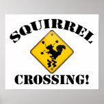 Squirrel Crossing Road Sign Poster