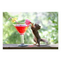 Squirrel Drinking Cocktail