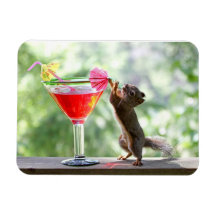 Squirrel Drinking Cocktail Rectangle Magnets